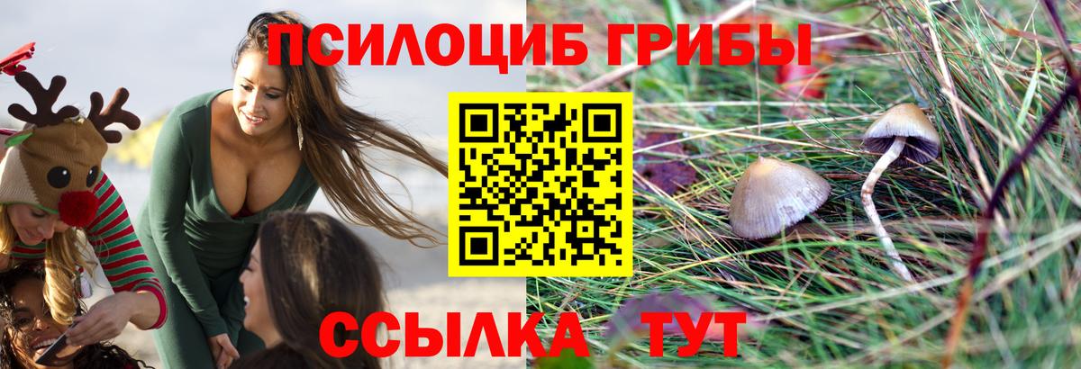 Псилоцибиновые грибы Magic Shrooms  что такое   Губкин  Вход с VPN 
